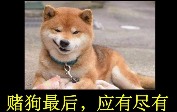 为什么不要做赌狗